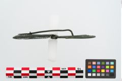 Foto von Bronzebrillenfibel (NHMW-PRAE-023987)